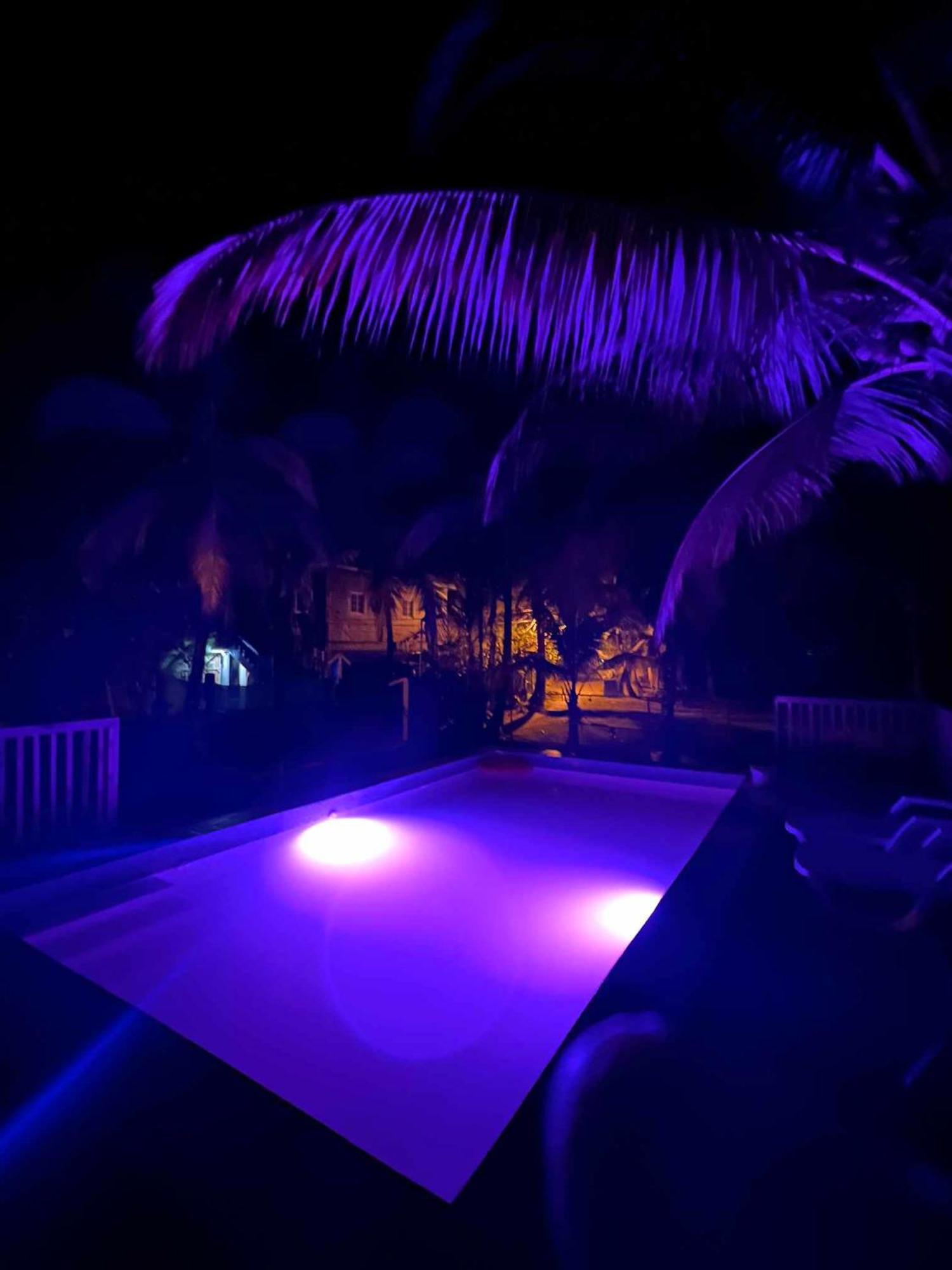 Hotel Tierra Verde Bed And Breakfast Бокас-дель-Торо Экстерьер фото
