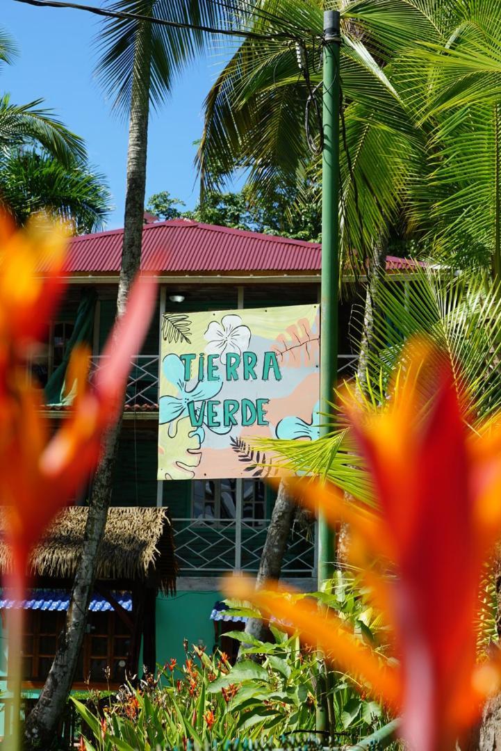 Hotel Tierra Verde Bed And Breakfast Бокас-дель-Торо Экстерьер фото